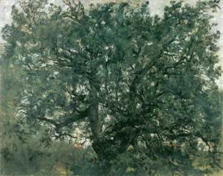 The Oak Tree